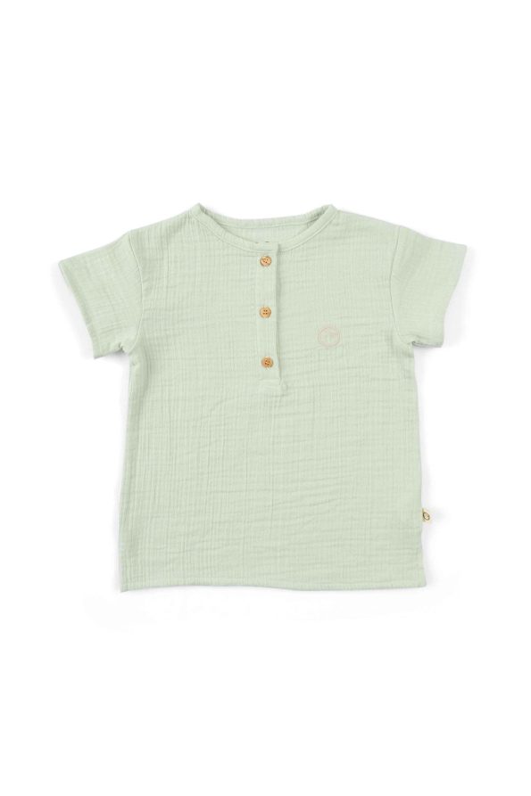 Organic Cotton Muslin Children's T-Shirt in Green