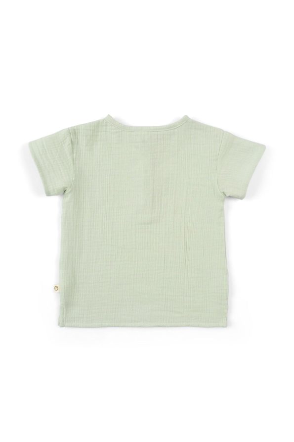 Organic Cotton Muslin Children's T-Shirt in Green