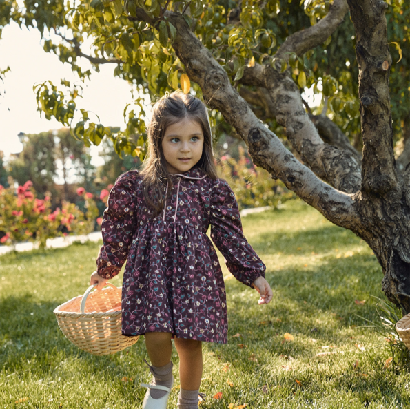 Floral Velvet Trimmed Burgundy Cotton Dress