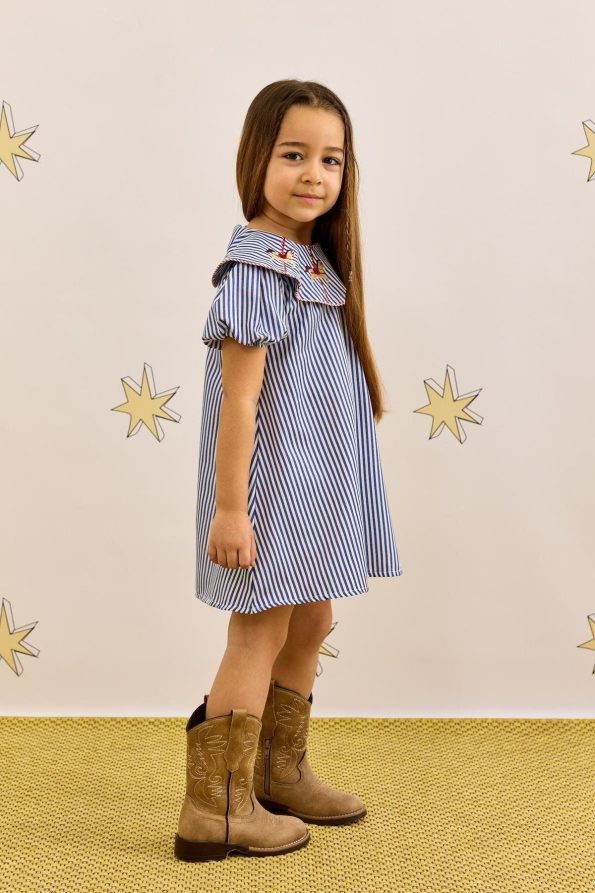 Blue Striped Dress with Embroidery