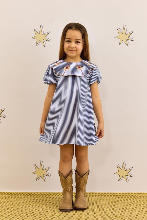 Blue Striped Dress with Embroidery