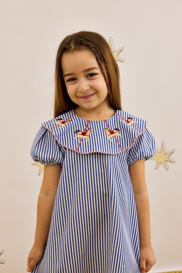 Blue Striped Dress with Embroidery