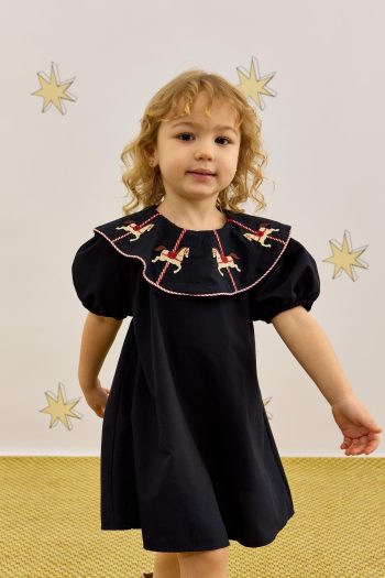 Navy Blue Dress with Embroidery