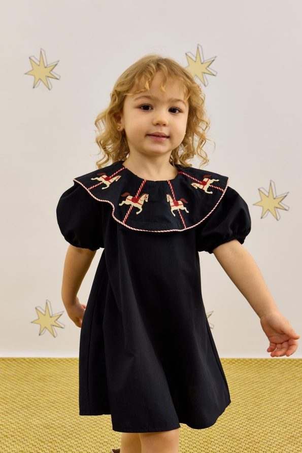 Navy Blue Dress with Embroidery