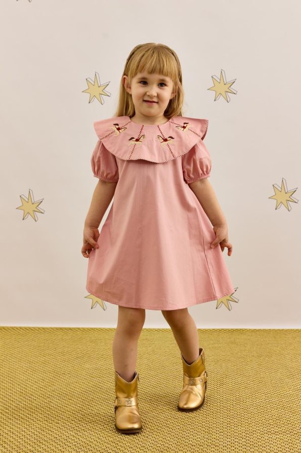 Pink Embroidered Dress