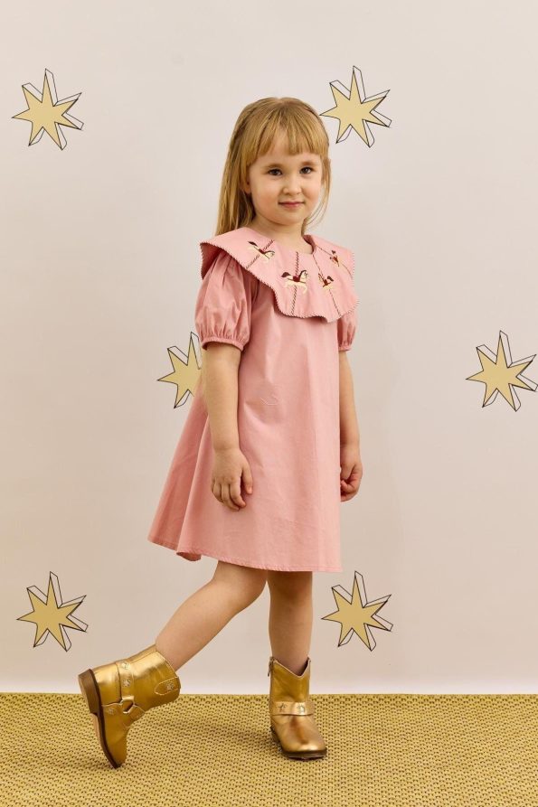 Pink Embroidered Dress