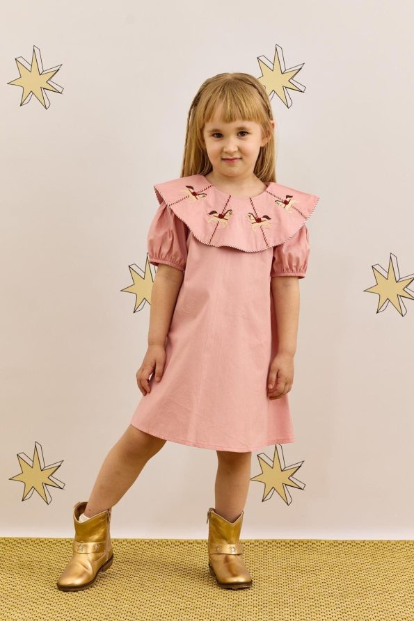 Pink Embroidered Dress