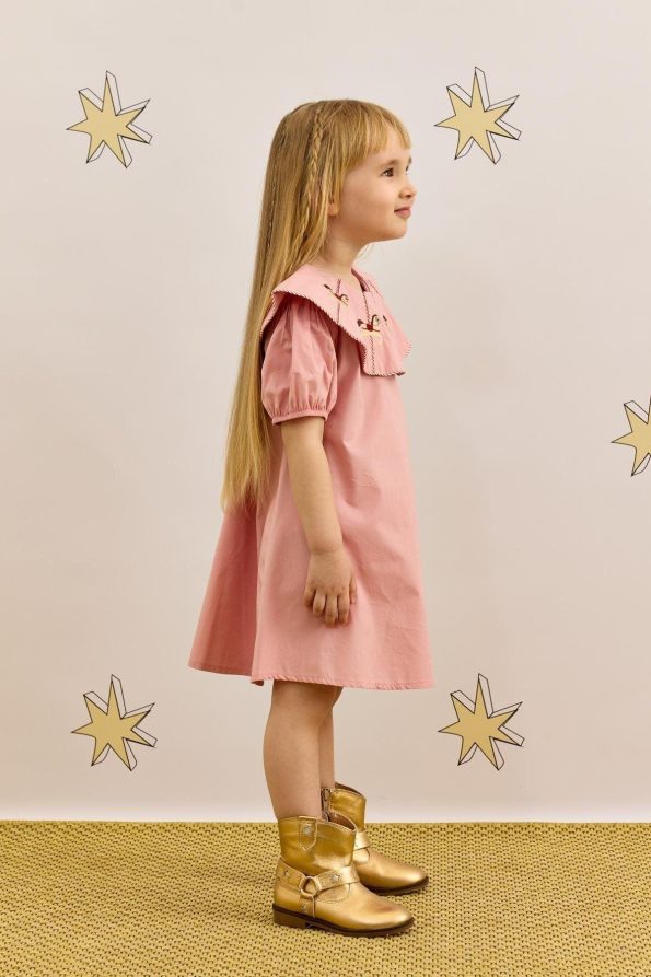 Pink Embroidered Dress