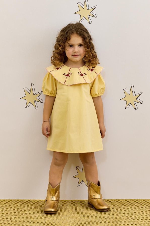 Embroidery Dress Yellow