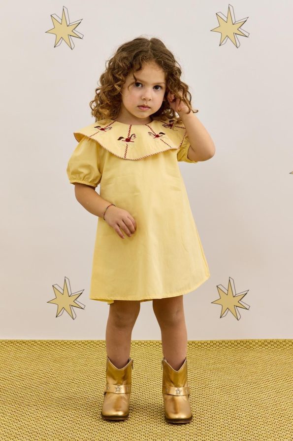 Embroidery Dress Yellow