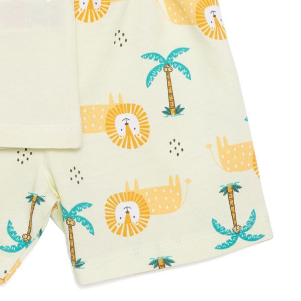 Baby Boy Basic T-Shirt and Shorts Set in Light Green