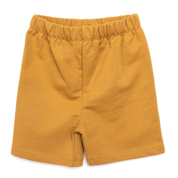Boys' Basic T-Shirt and Shorts Set with Champion Dinosaur Design