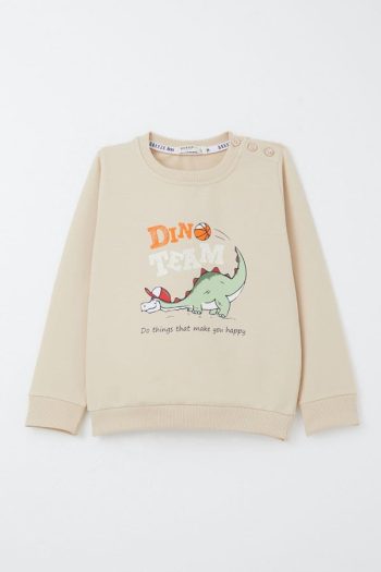 Boys' Dinosaur Print Beige Tracksuit Set (1-2 Years)
