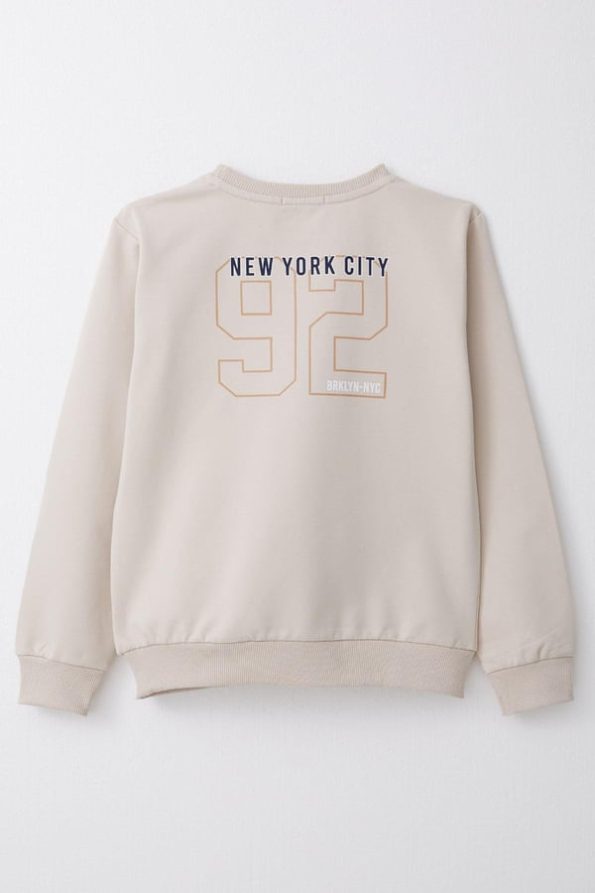 Boys' Printed Sweatshirt in Beige (Ages 4-7)