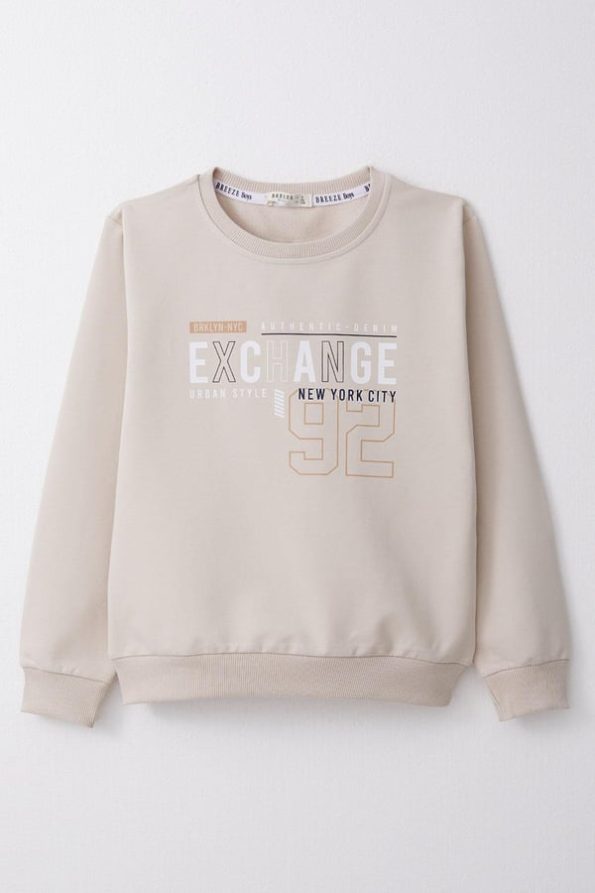 Boys' Printed Sweatshirt in Beige (Ages 4-7)