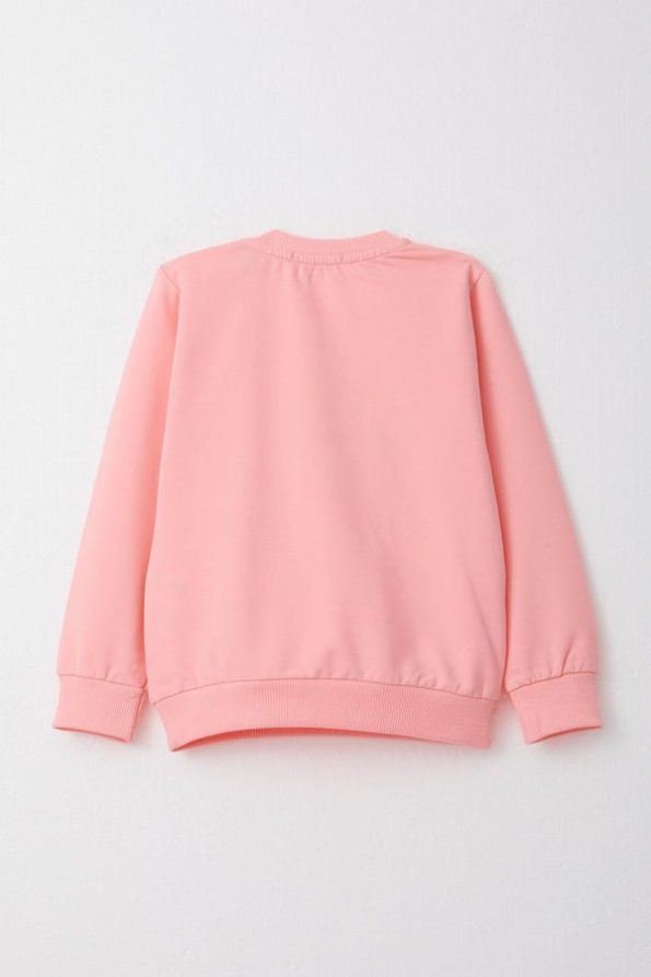 Princess Embroidered Pink Tracksuit Set for Baby Girls (9 Months - 3 Years)