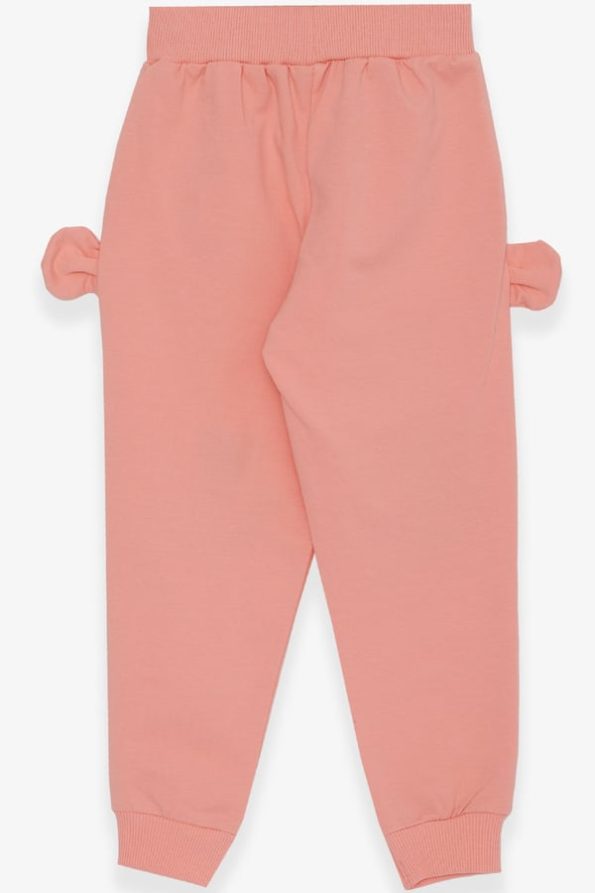 Girls' Rabbit Embroidered Sweatpants in Salmon (1-3 Years)