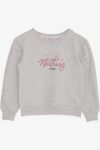Girls' Sweatshirt with Glitter Print in Beige Melange (Ages 8-14)