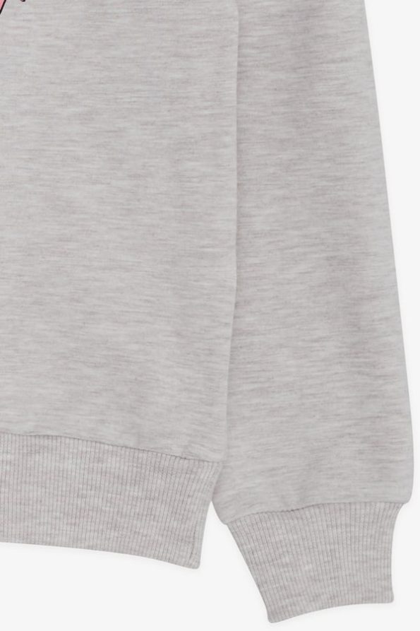 Girls' Sweatshirt with Glitter Print in Beige Melange (Ages 8-14)