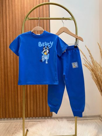 Unisex Children's Bluey Printed Short Sleeve T-Shirt and Elastic Waist Pants Set