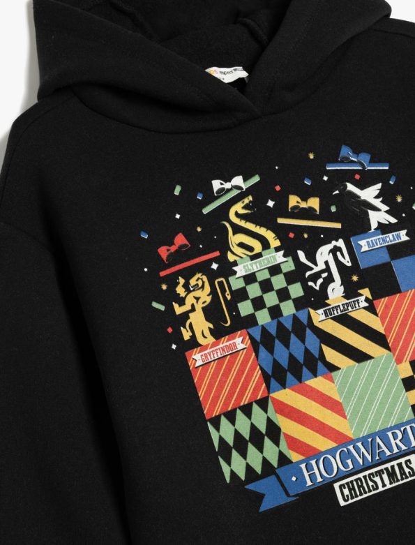 Boys' Harry Potter Printed Licensed Long Sleeve Hooded Sweatshirt