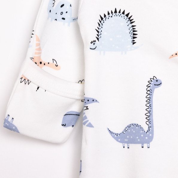 Newborn Baby Boy Dino Print Romper and Beanie Set