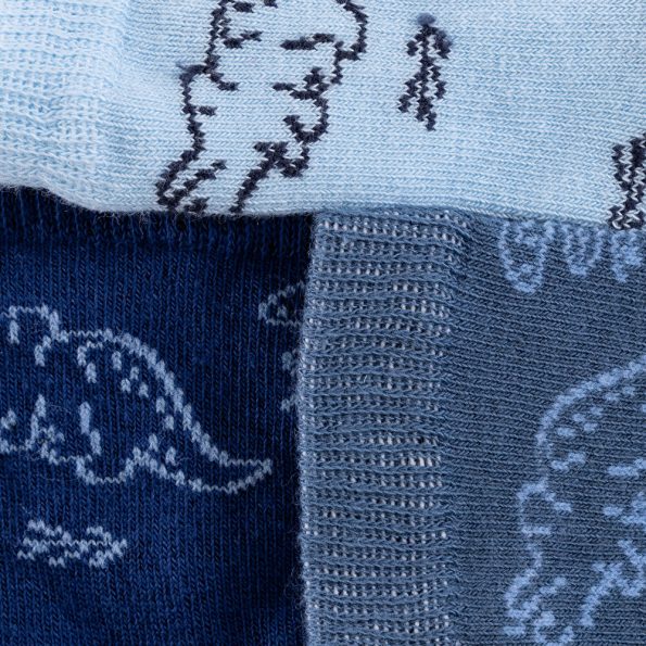 Boys' Dinosaur Print Navy Blue Sock Set
