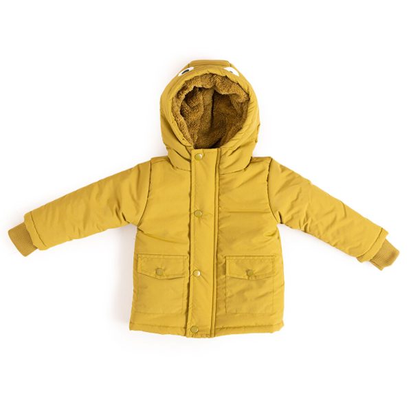 Boys' Basic Hooded Jacket with Dinosaur Print