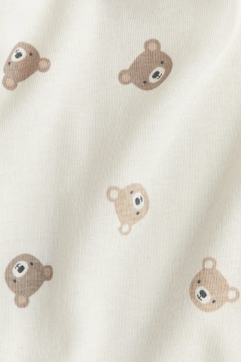 Set of 2 Long Sleeve Bodysuits