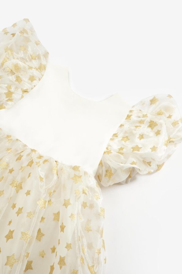 Ivory Star Tulle Skirt Girls Dress - Elsa