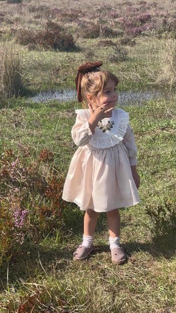 Baby Animals Girls Birthday Party Dress