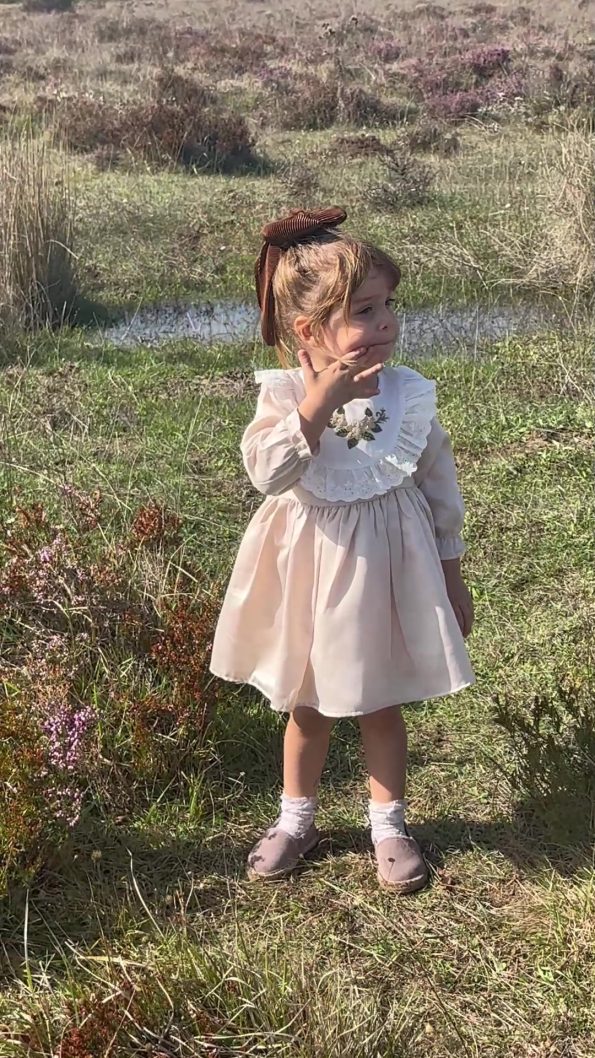 Baby Animals Girls Birthday Party Dress