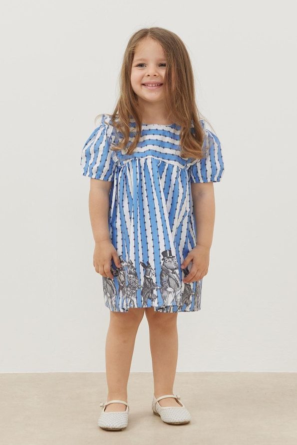 Ruffled Detail Dress Blue Striped