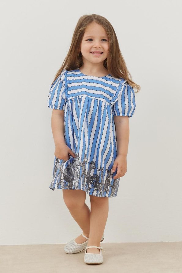 Ruffled Detail Dress Blue Striped