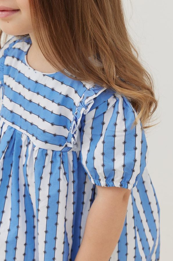 Ruffled Detail Dress Blue Striped