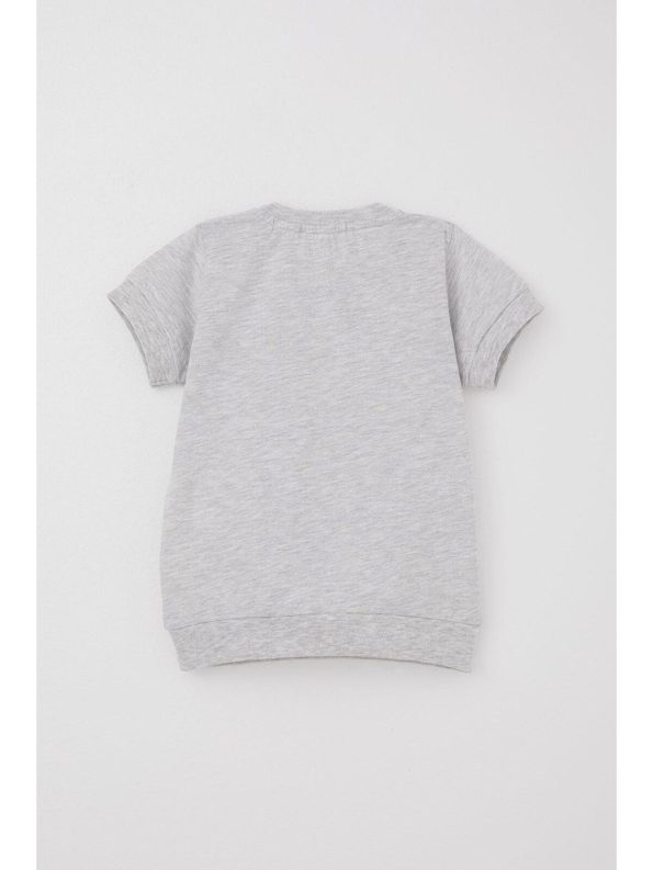 Breeze Baby Boys Capri Set with Cute Bear Embroidery in Light Gray Melange (9 Months - 3 Years)