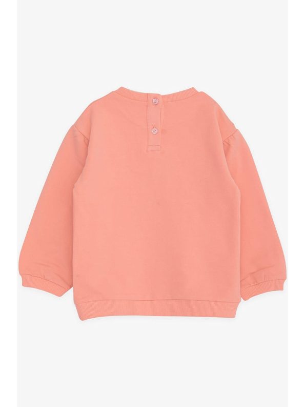 Breeze Pink Girls' Printed Sweatshirt (9 Months - 3 Years)