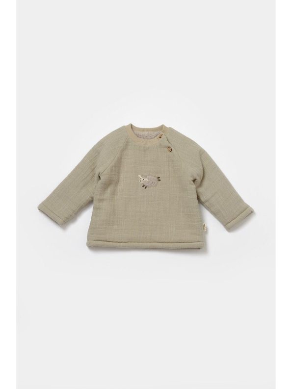 BabyCosy Organic Green Muslin Set
