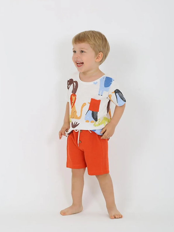 Luggi Baby Orange Printed Boys T-Shirt and Shorts Set
