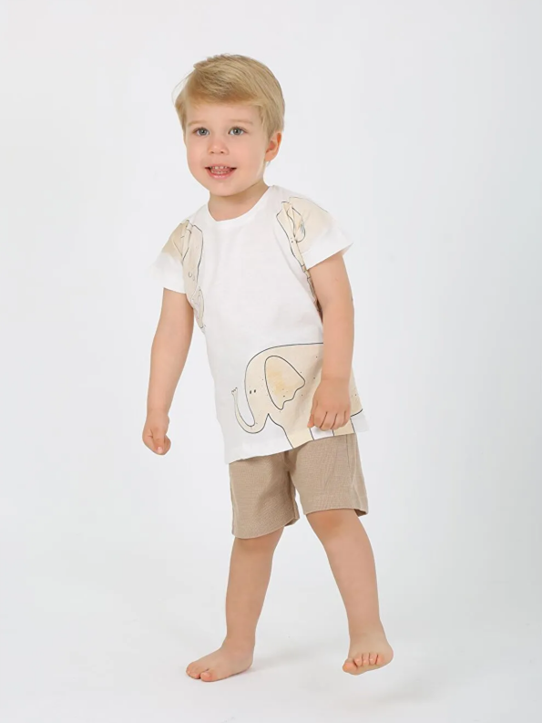 Luggi Baby Brown Printed Crew Neck T-Shirt and Shorts Set