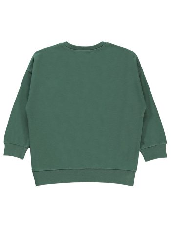 Civil Boys Sweatshirt for Ages 2-5 in Soft Haki