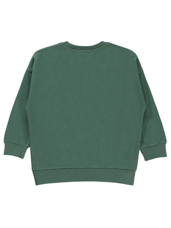 Civil Boys Sweatshirt for Ages 2-5 in Soft Haki
