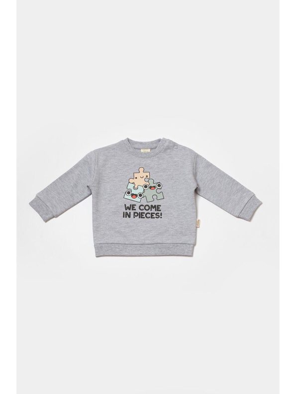 BabyCosy Organic Gray Sweatshirt & Pants Set