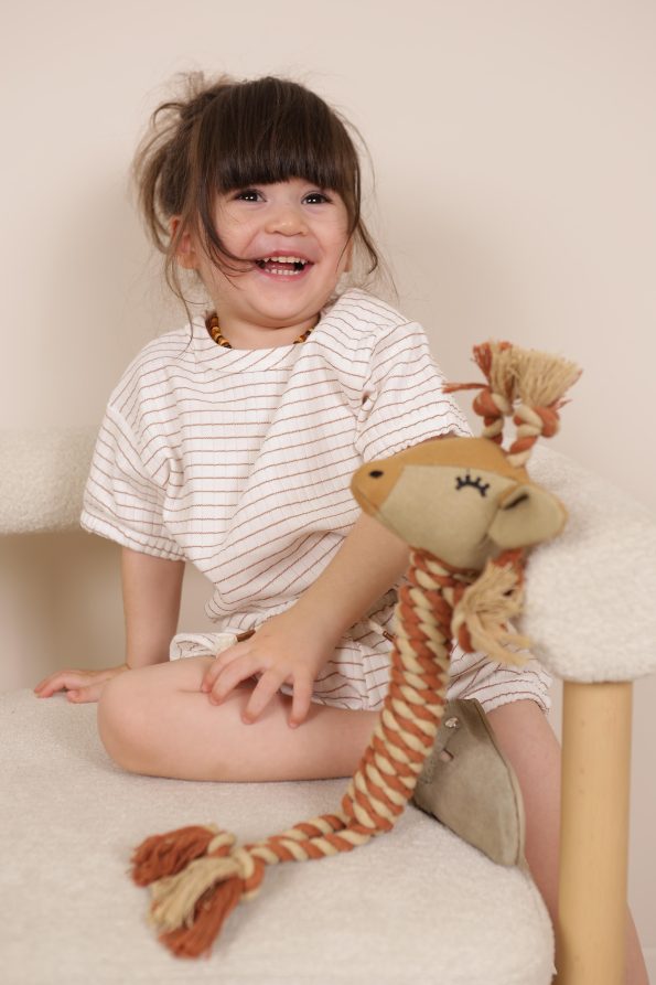 Brown Striped Elastic T-Shirt and Shorts Set