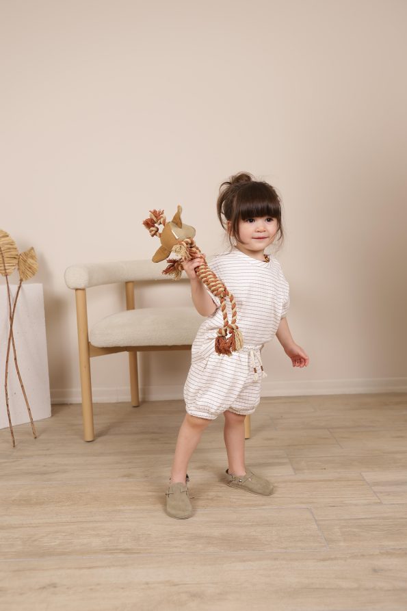 Brown Striped Elastic T-Shirt and Shorts Set