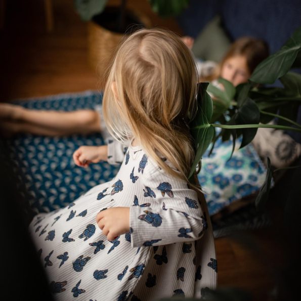 Butterfly Print Dress
