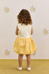 kolsuz-balon-elbise-sari-6041.jpg