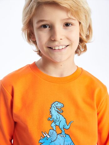 Boys' Crew Neck Sweatshirt
