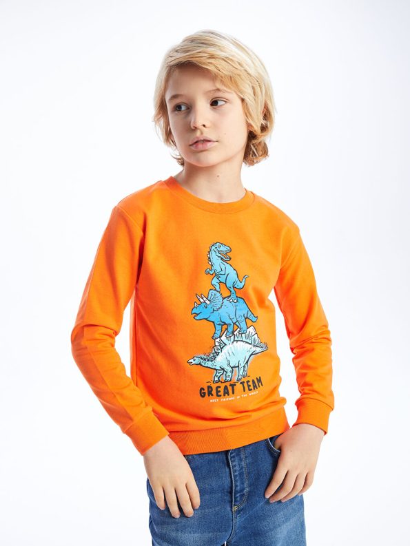 Boys' Crew Neck Sweatshirt