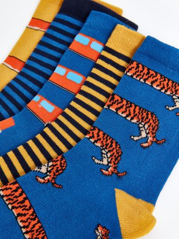 Boys' Ankle Socks Set of 5